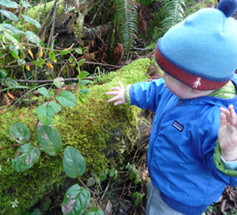discovering moss
